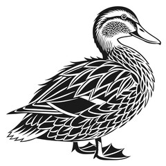 Duck Black Silhouette, Bird Standing, Ornithology, Fauna, Wildlife, Nature, Animal