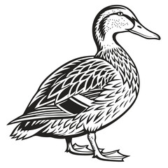 Standing Duck Monochrome Aquatic Bird Icon in Black and White, Minimalist Art