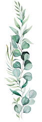 Vertical bouquet with green watercolor eucalyptus leaves, pastel wedding isolated illustration