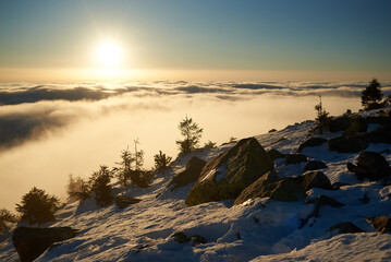 Snow-covered mountain slope at dawn, with scattered rocks and small trees adding texture to foreground. Sea of clouds below bathed in soft hues of blue and gold as sunlight gently illuminates scene.