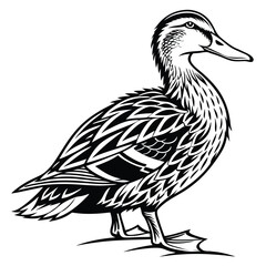 Monochrome Duck Standing with Bold Black and White Design