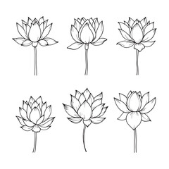 Elegant lotus flower in delicate line art style
