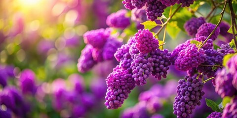Luxurious Grape Purple Aromatic Flowers, garden flowers, luxurious flowers
