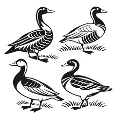 Black and White Standing Ducks on Grass Silhouettes, Simple Bird Design, Animals, Minimalist