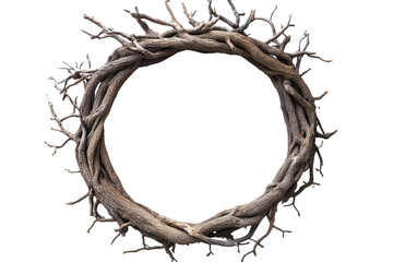 Fototapeta premium Circle of tree roots PNG image with transparent background perfect for nature designs and environmental projects