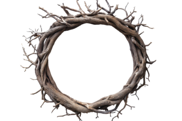 Circle of tree roots PNG image with transparent background perfect for nature designs and environmental projects