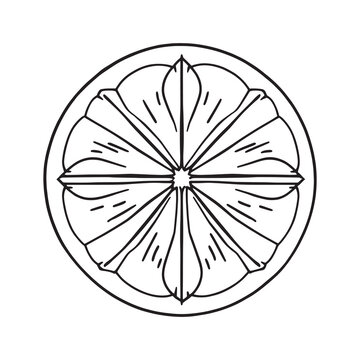 recommend clip art: Grapefruit line art vector drawing with fresh citrus slices