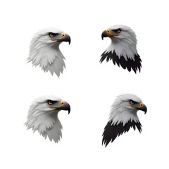 Obraz premium Set of Bald Eagle Head Icon flying Falconry Predator Bird Wildlife Wing Wildlife American Freedom Symbol 3D Vector Illustration