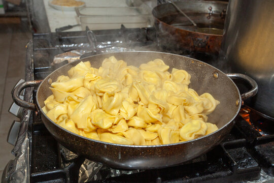graminia tortelloni pasta street food international cuisines events with all the cuisines of the world tastings of international food specialties