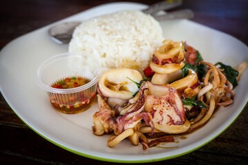 Rice topped with stir fried Thai basil with Squid , pad ka praow