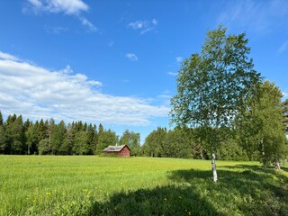 Red barn in a lush green field under a bright blue summer sky, surrounded by trees in Sweden.