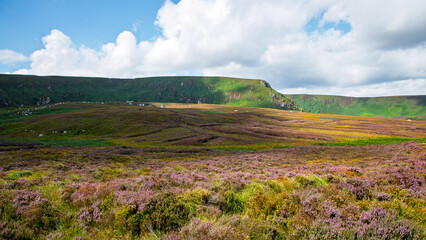 Paysage typique des Wicklow mountains, Irlande