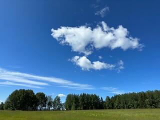 Vibrant blue sky with fluffy white clouds and lush green trees.