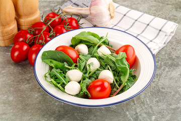 Salad with mozzarella and arugula