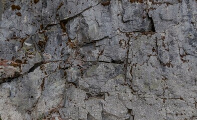 Gray rock face with cracks and moss