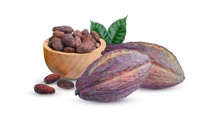 Fresh Cocoa pods with dried beans in wood bowl  isolated on  transparent..