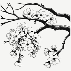 Fototapeta premium sakura flowers branch sketch illustration