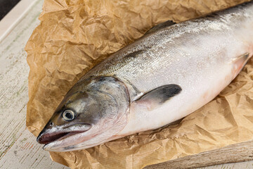 Raw wild whole salmon fish
