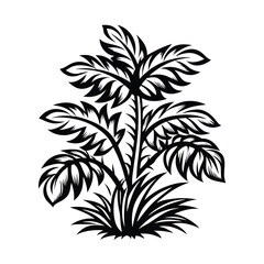 Obraz premium Tropical Plant Silhouette, Black and White Leaves and Stems