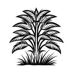Monochrome Floral Plant Silhouette. Dense Foliage, Fronds and Grass Element