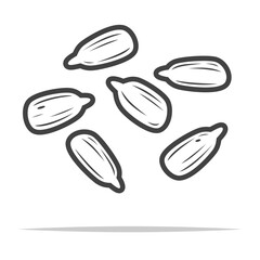 Peeled sunflower seeds outline icon transparent vector isolated