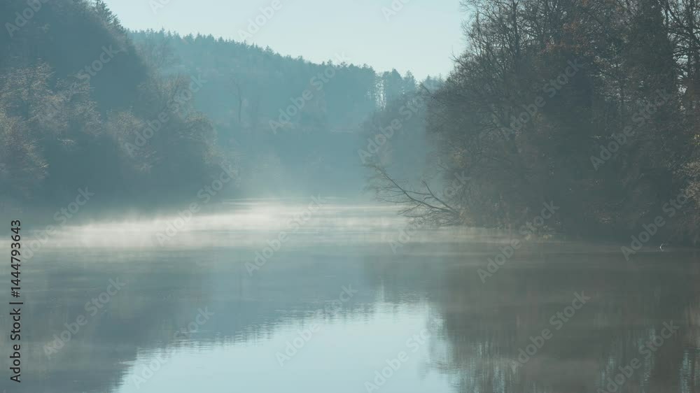 Poster Thin mist creeps over a calm river as soft light filters through autumn trees lining its tranquil banks. Parallax video.