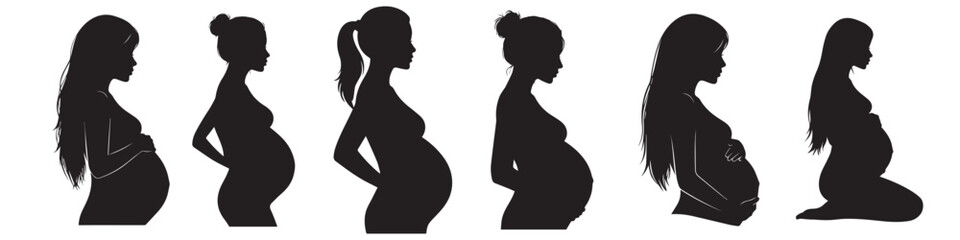 Pregnancy silhouettes showing stages woman body changes. Pregnancy development icons pregnancy