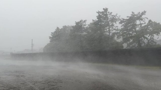 Sheets Of Heavy Rain And Strong Winds Lash Coastal Town As Typhoon Lan Hits - Lan