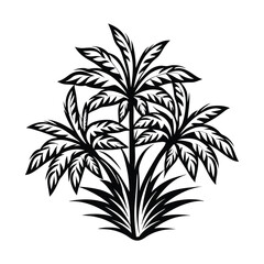 Abstract Palm Trees Silhouette Decorative Botanical Element, Tropical Flora in Black