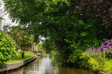 Landscape view of famous Giethoorn village in Netherlands with canals, trees and plants