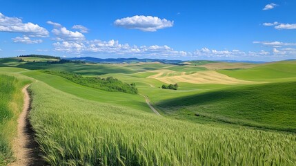 Obraz premium A green field stretches out under a blue sky. 