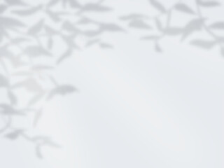 木の影が壁に映るシンプルな背景