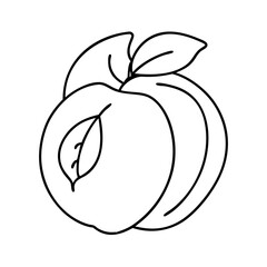 peach icon icon, peach icon vector illustration-simple illustration of peach icon, perfect for peach icon logos and icons
