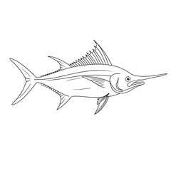 vector illustration of a fish coloring page 