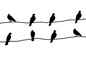 Silhouette of birds on wire, 