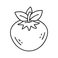 fresh icon, fresh vector illustration-simple illustration of fresh, perfect for fresh logos and icons