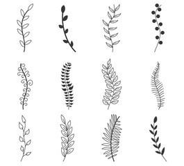 png botanical silhouette with olive leaves and bloom elements in monochrome flower icon set for graphic design or pictogram use with minimalist bouquet and decorative branch composition   © Little Monster 2070