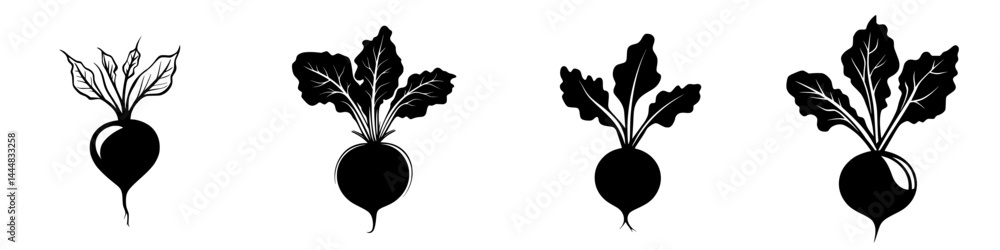 Poster silhouette pictogram set of various radish designs isolated on white background highlighting distinc