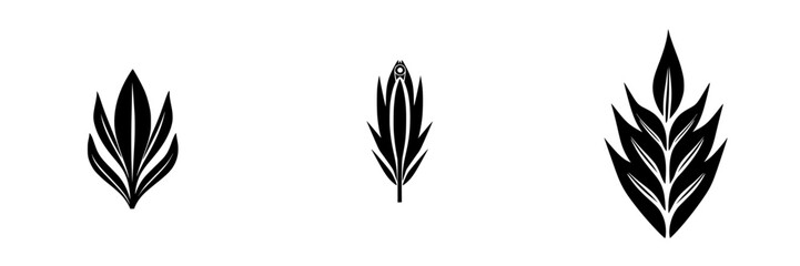 Silhouette pictogram icons set showcasing various leaf shapes in a minimalist design for nature and gardening themes