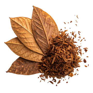 HighQuality Tobacco Leaf and Cut Tobacco Images isolated on transparent background