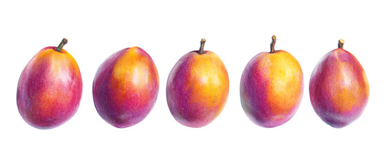 A neat arrangement of five colorful plum-like fruits displayed horizontally across a seamless transparent background for packaging design.