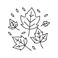 autumn leaves icon, autumn leaves vector illustration-simple illustration of autumn leaves, perfect for autumn leaves logos and icons