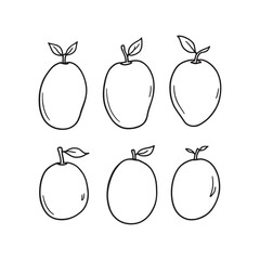 Unripe Mangoes Growing on Tree Branch in Nature