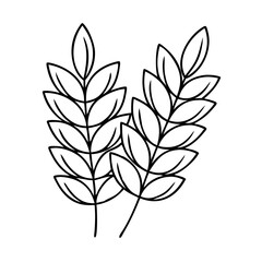 barley icon, barley vector illustration-simple illustration of barley, perfect for barley logos and icons