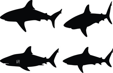Black and White Shark Silhouettes in Minimalist Marine Wildlife Illustration Style with Side View Designs, Bold Contrast, and Sleek Vector Outlines of Oceanic Predators