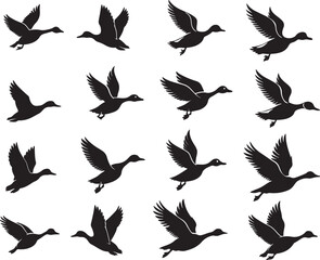 Obraz premium Silhouette Ducks in Flight Vector | Black and White Minimalist Wildlife Design