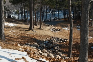 Winter landscape, park,  lake view