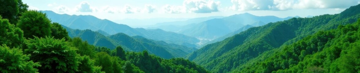 Fototapeta premium Dense green foliage, mountain range backdrop, Thailand , wild, overhead