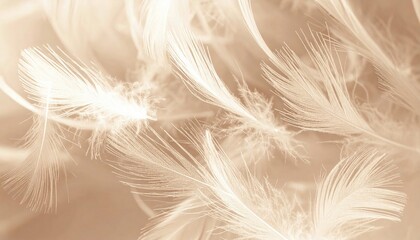 Fototapeta premium Abstract pattern of feathers and flight paths, soft natural tones