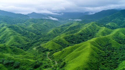 Obraz premium A winding mountain road is set amidst lush green forests, with morning sunlight piercing the mist to create a dreamlike atmosphere, as seen in the illustration Wandering Mist
